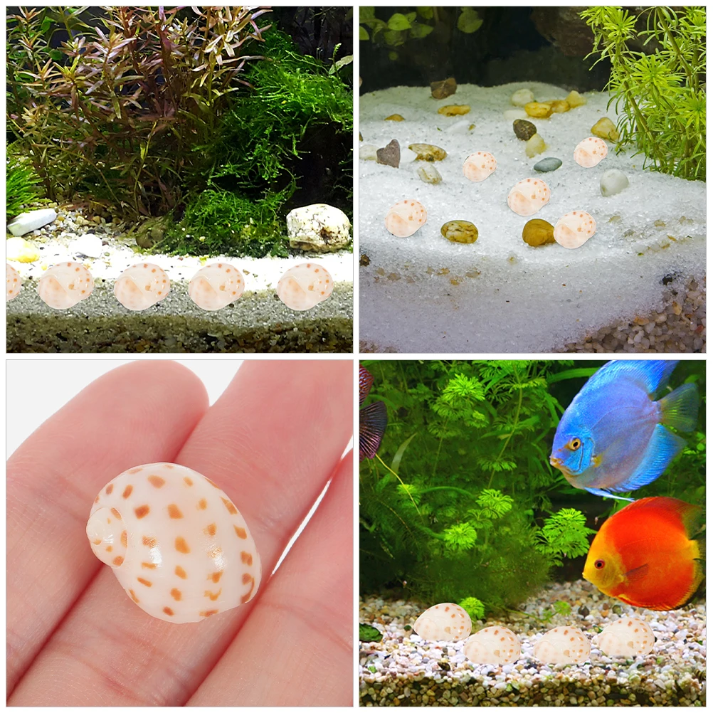 

40pcs Natural Conch Crafts Crab Shells Aquarium Landscaping Decorations Fish Tank Accessories Desktop Diy Ornament Conch