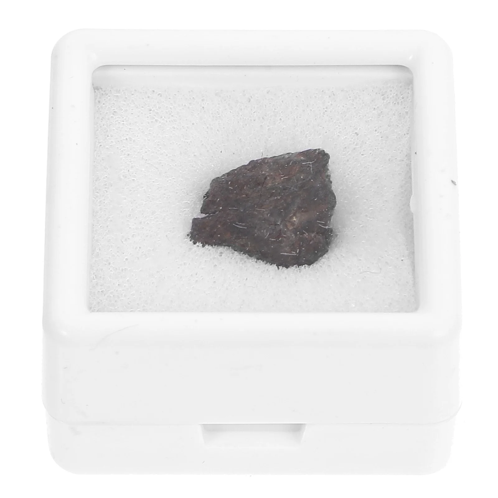 

Olive Meteorite Teaching Specimen Adornment Desktop Ornament Lithosiderite Sample Child