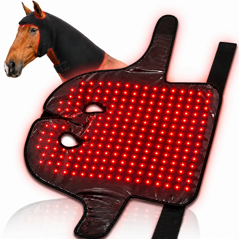 Equine Red Light Therapy Horse Head Poll Cap 660nm 850nm Infrared Red Light Therapy for Horses