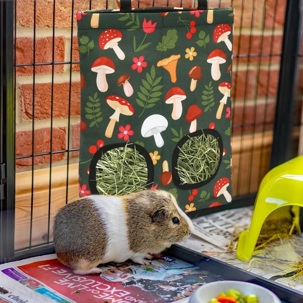 Dual Opening Rabbit… - image