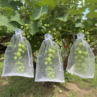 50Pcs Grapes Fruit Protection Bags Pest Control Anti-Bird Garden Netting Bags Mesh Agricultural Tree Garden Tool Bags