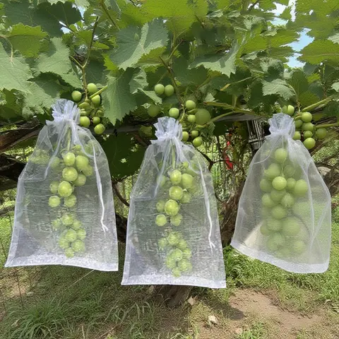 50Pcs Grapes Fruit Protection Bags Pest Control Anti-Bird Garden Netting Bags Mesh Agricultural Tree Garden Tool Bags