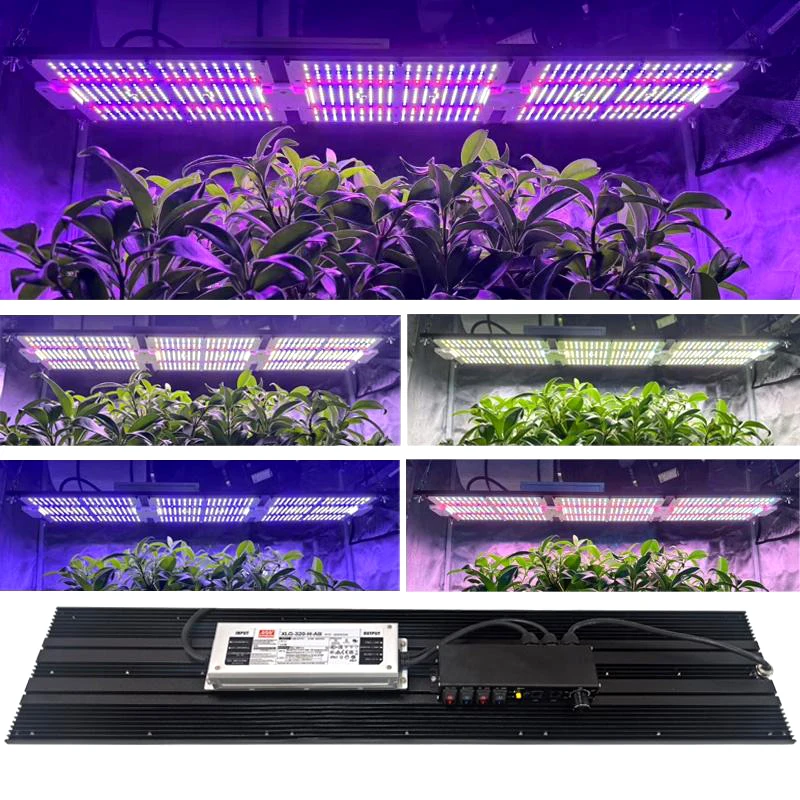 320 واط Led تنمو ضوء مجموعة الكم التكنولوجيا مجلس Lm301h-Evo لتقوم بها بنفسك مزيج الطيف الكامل 660nm Uv Ir لنمو خيمة داخلية IP65 مقاوم للماء
