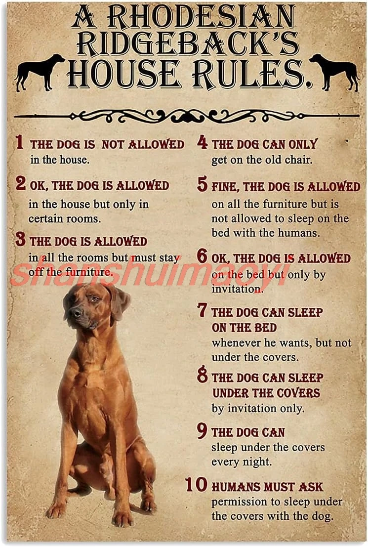 shan n Retro Sign -The Dog House Rules A Rhodesian Ridgeback - Print Wall Art Metal Poster Living Room Garden Bedroom Off 1pc