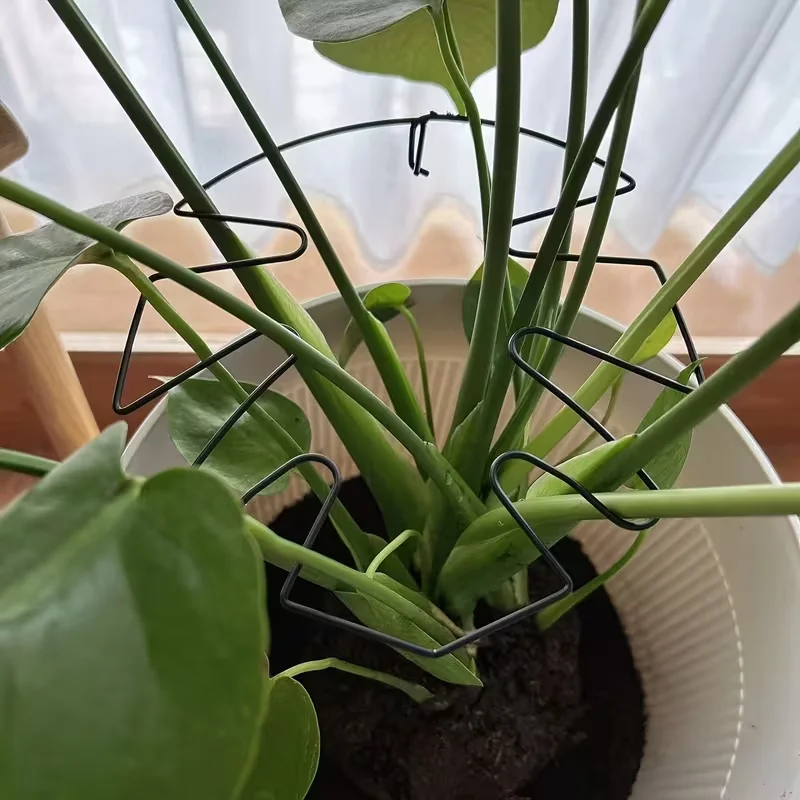 Single packaging / anti-tilt support frame, green plant fixing device, flower stand plant stem support component
