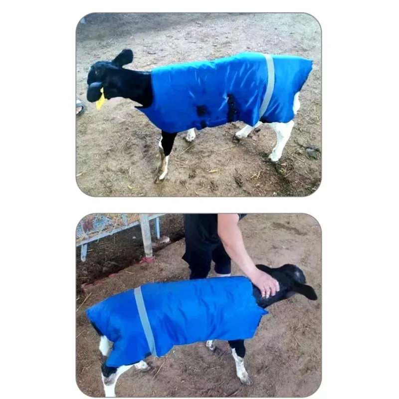 

Blanket Thickened with Reflective Strips Waterproof Belly Protection Calf Saver Clothing Vest for Keep Warm Farmhouse