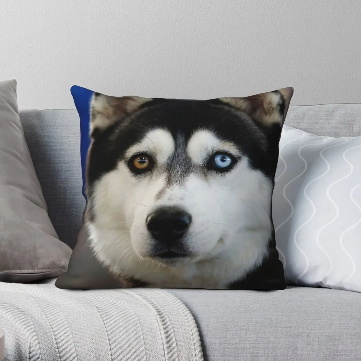 Siberian Husky Square Pillowcase Polyester Linen Velvet Pattern Zip Decorative Pillow Case Room Cushion Cover