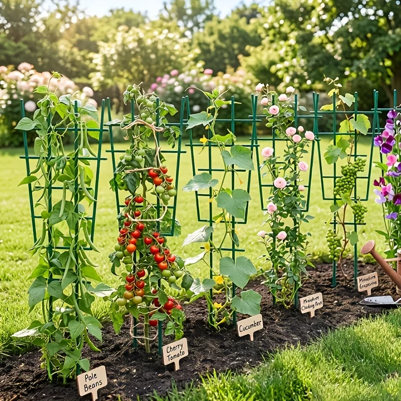 3Pcs Thickened Plant Climbing Stakes Rust‑Proof Sturdy Supports for Grape Rose Tomato Bean Indoor Outdoor Potted Plants