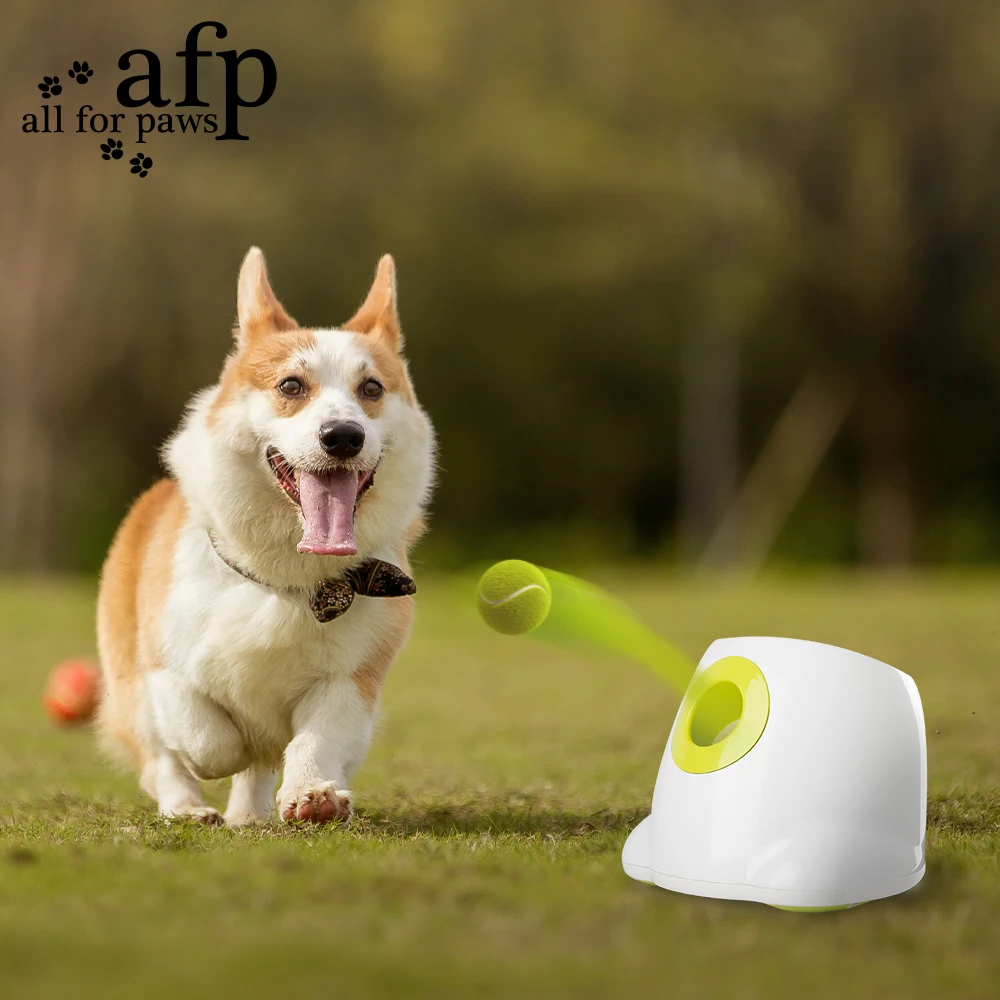 

All For Paws Automatic Ball Launcher For Dog Interactive Toys Automatic Indoor Game Electric Thrower Dog Toy With 3 Tennis Balls