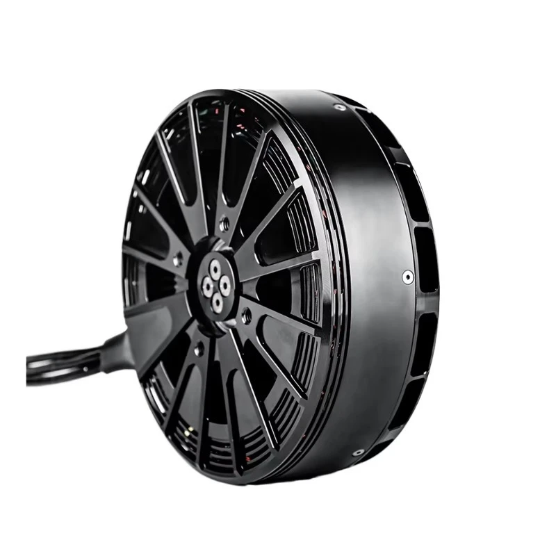 6 kW waterproof brushless DC motor 24 strings 50 kg 100 kg 200 kg capacity