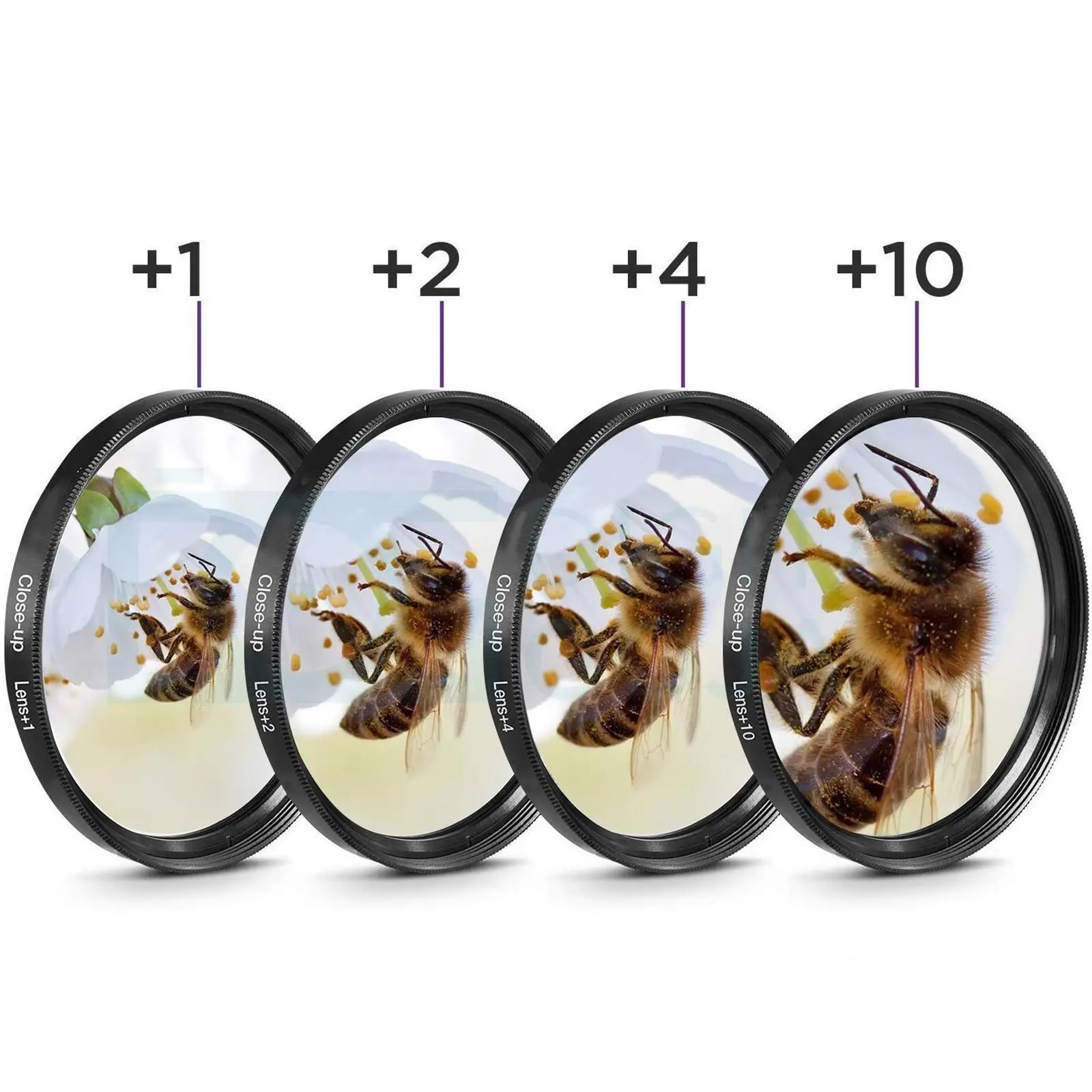 

Close-up Filter Kit +1 +2 +4 +10 Lens Set for Digital Cameras 58mm