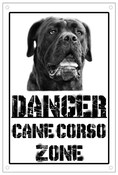 Dangerous Australian Shepherd Dog Area Sign 8x12inch Metal Guard Dog Sign 8x12inch Home Kitchen Outdoor Wall Decoration