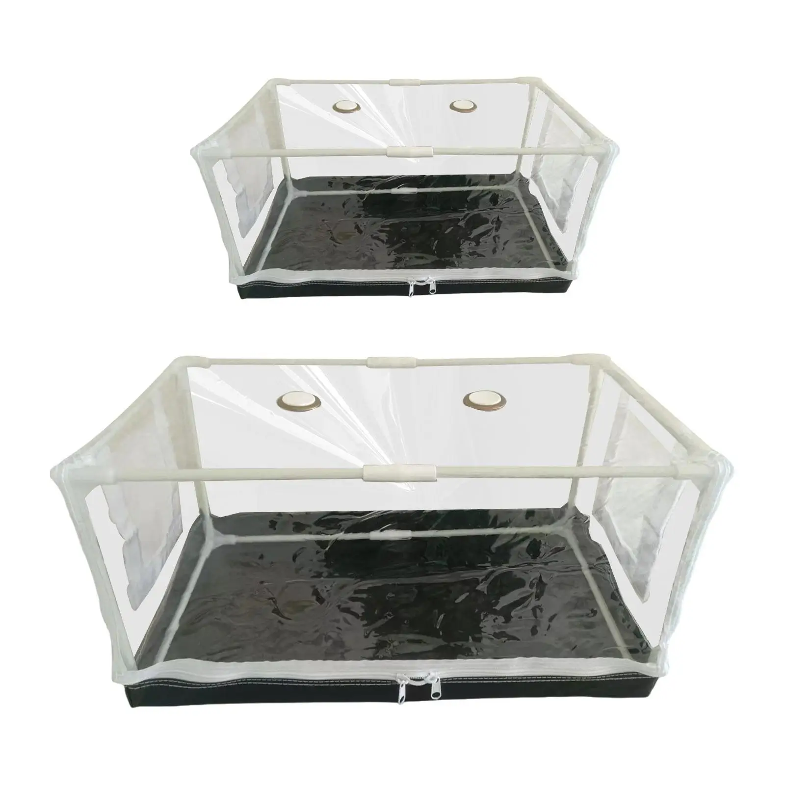 

Mushroom Grow Tent Kit Space Saving Transparent Folding Mushroom Grow Box