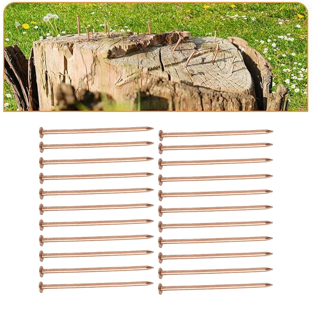 Copper Nail Spikes for Tree for root For Killing and Stump Removal 3 5 Inch Length for Effective Tree and for root Control