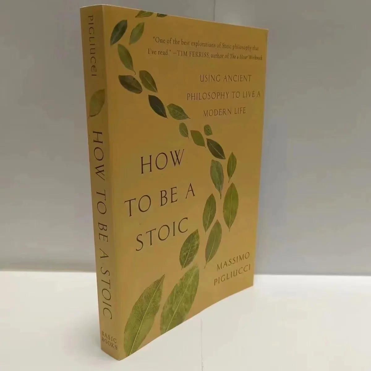 How to Be a Stoic Paperback Book in English Libros