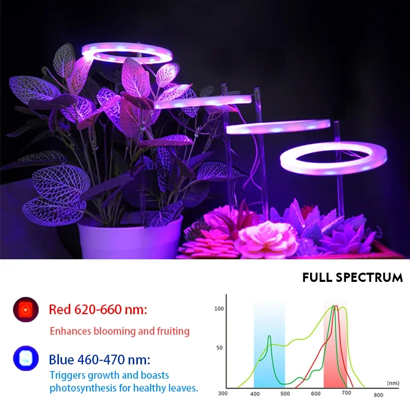 Imagem -05 - Led Anjo Anel Crescer Planta Luz Usb Phytolamp para Plantas Lâmpada de Espectro Completo Mudas Internas Casa Flor Suculenta Dc5v