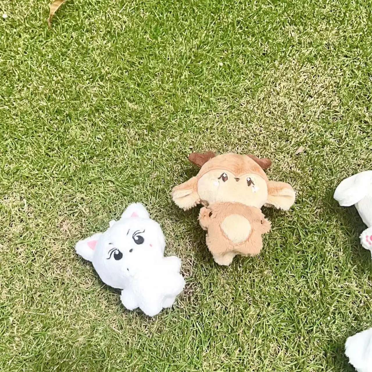 Idol Junwon Jay Jake Cute Cartoon Characters 10cm Doll Key Chains Stuffed Pendant