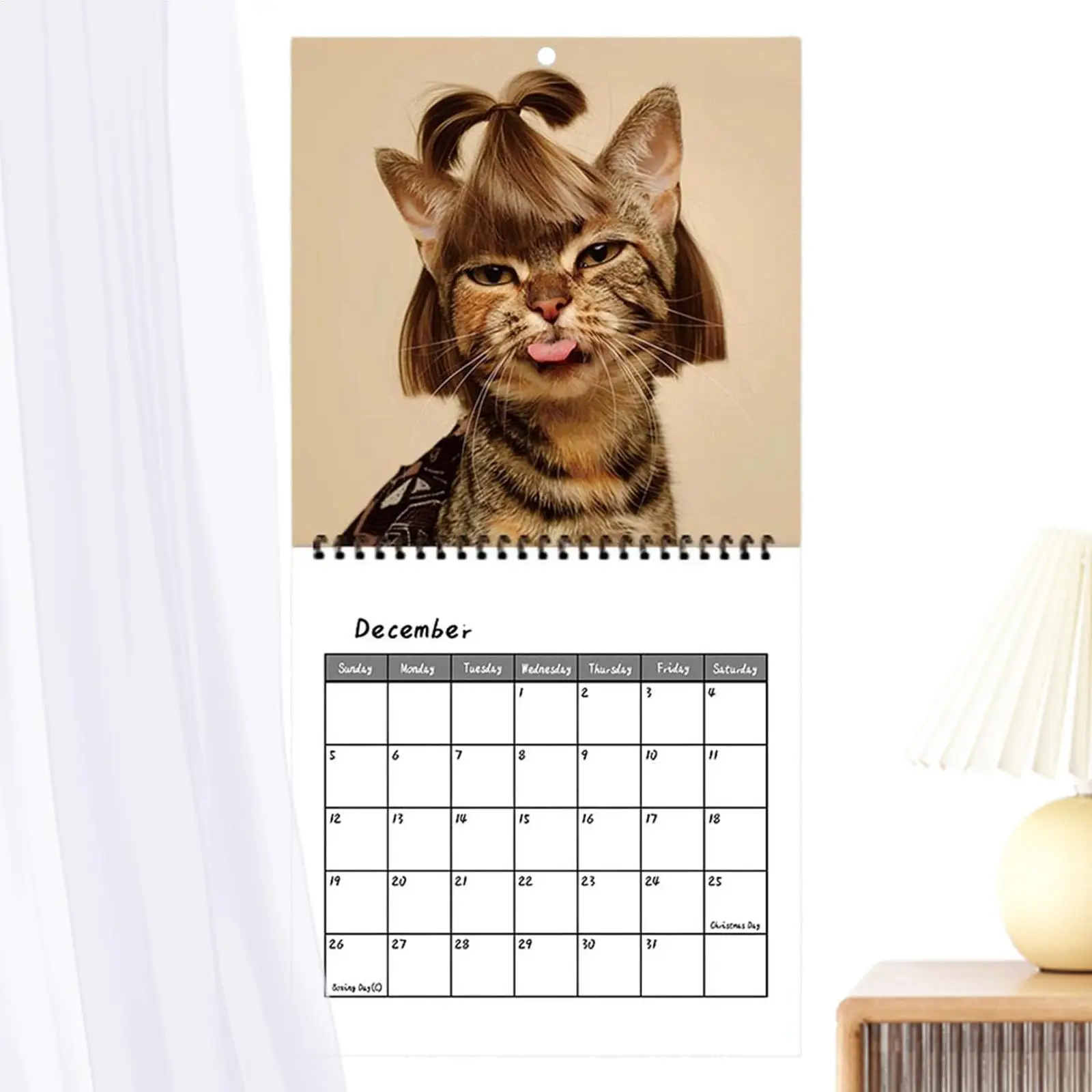2027 Cat Hairstyle Calendar 12 Monthly Humorous Cat Hairstyles Planner Funny Cat Hairstyles Wall Calendar For Cat Lovers