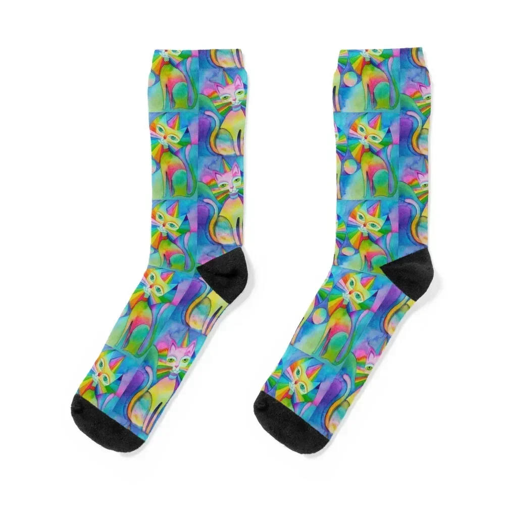 Rainbow Pussies Socks Crossfit set funny gift new year Girl'S Socks Men's