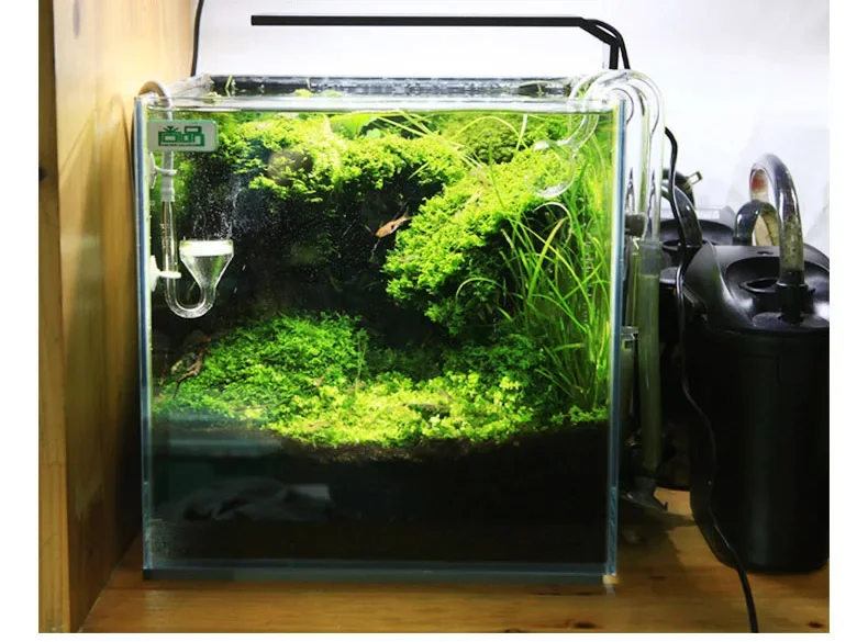 Chihiros C Series ADA Style Plant Grow LED Light Mini Nano Clip Aquarium Water Plant  FishTank - Image 4