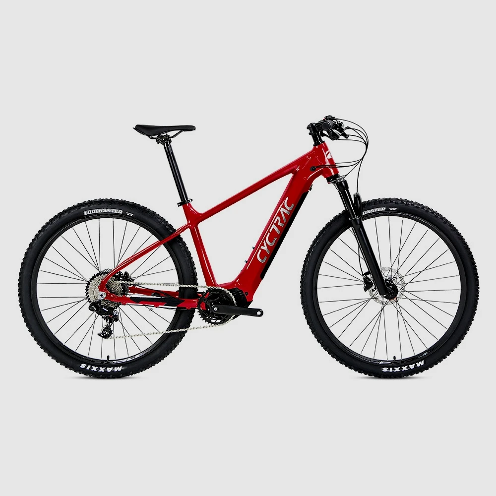 

Bafang Mid Drive Electric Mountain Bike EM5 Aluminium Electric MTB Bike Shimino M200 Disc Brake 36V 250W NX 11S Ebike Bicycles