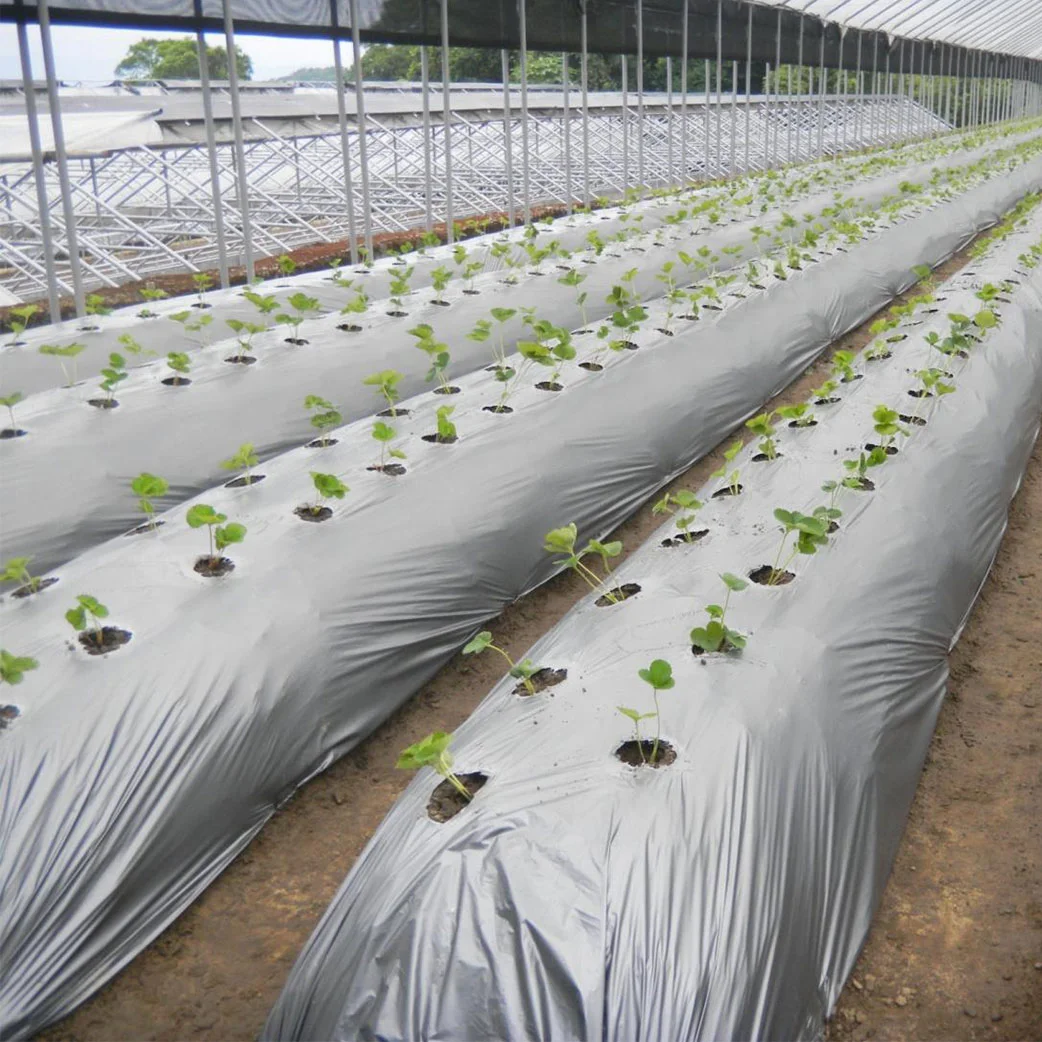 

2025Black Quality Polyethylene Material Plastic Mulching Film Used for Agricultural Cultivation