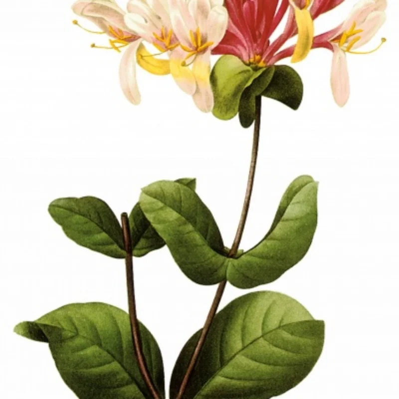 Draadloze bootboegschroef RC bootstraalpomp / motor geschaald RC scheepsmodificatiekit