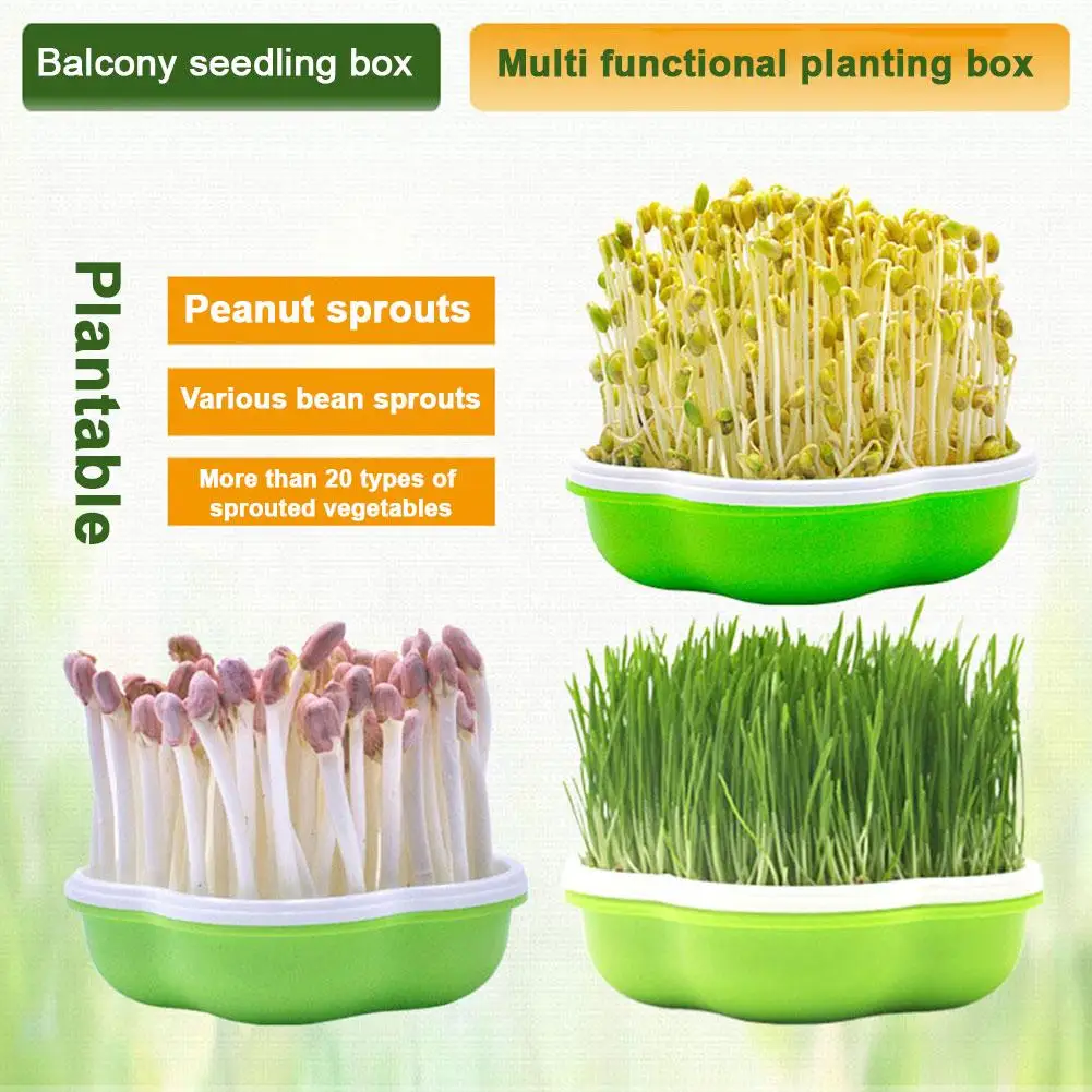 Home Garden Hydroponic Peanut Sprout Box Bean Pea Wheat Soilless Seedling Grass Germination Pot Grow Sprouter Planting C2a1