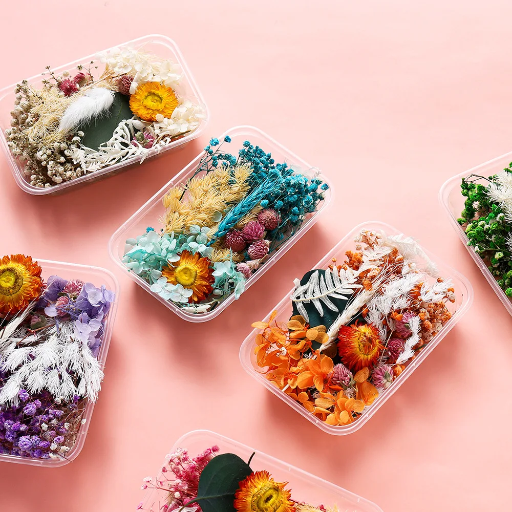 1set Hot Selling Eternal Flower Dried Flower Material Pack DIY Mini Embossed Box Frame Fan Aromatherapy Dropping Material Pack