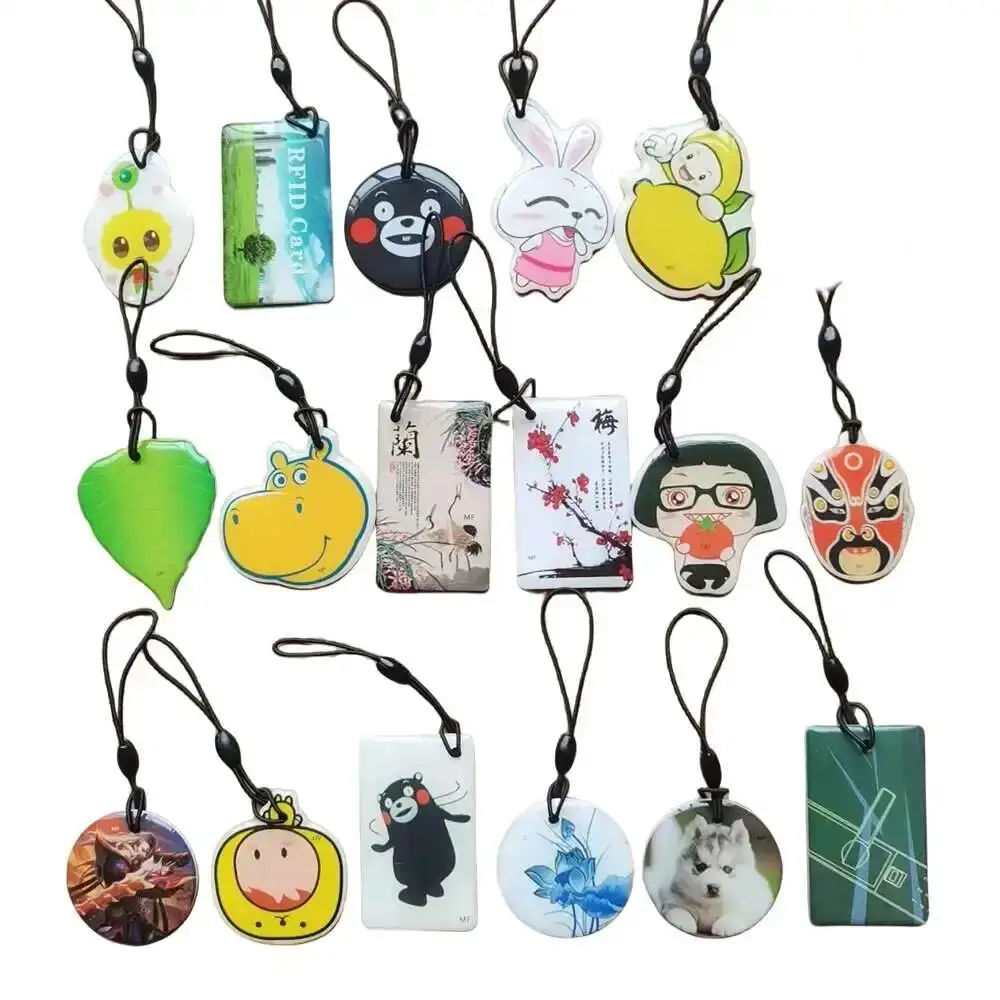 

30 Different Patterns Waterproof 13.56MHZ UID RFID Rewritable IC Key Tag Keyfobs NFC Card Access Control Keychain