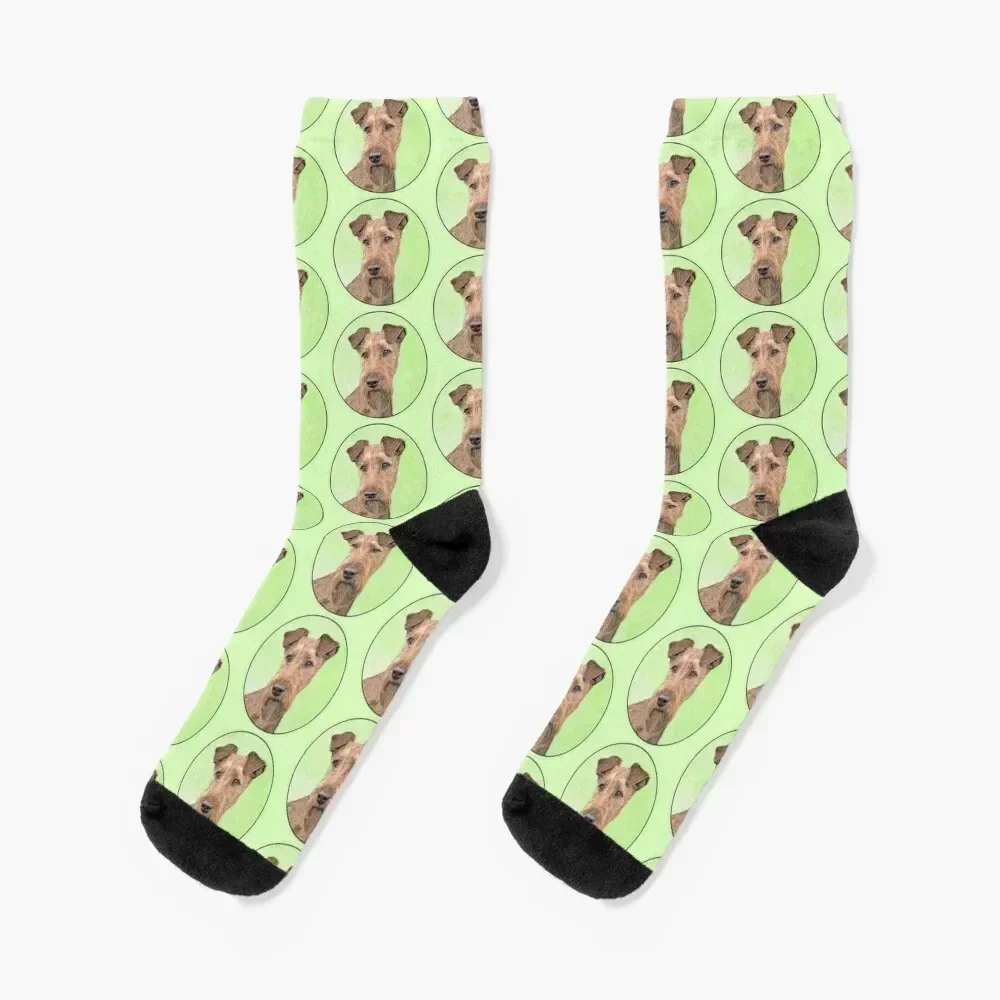 

Irish Terrier Painting - Cute Original Dog Art Socks Hiking boots short gifts Luxury Woman Socks Men's