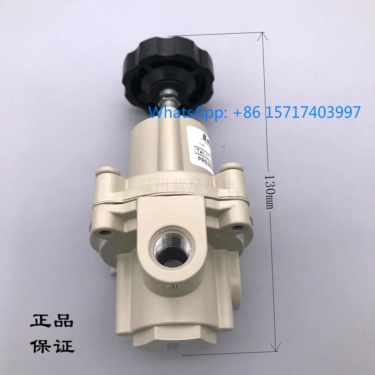 Bellowram Precision Regulator 14KPA Micro Pressure Reducing T41-1 960-172-000 113 114 171