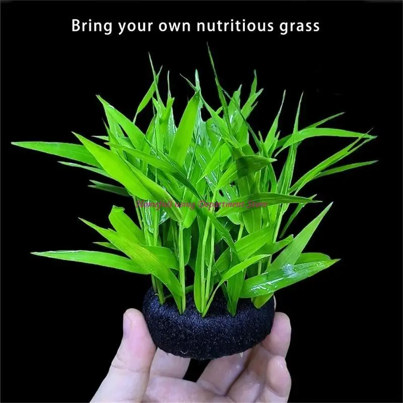 

Safe Hydrophyte Plant Substrate For Water Grass Plant Health and Growth Home And Commercial Aquariums Landscape Base
