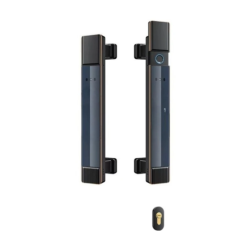 Waterproof WiFi Outdoor Smart Gate Lock 2-Sided Face Fingerprint Unlock  App Control Password Cloud Storage