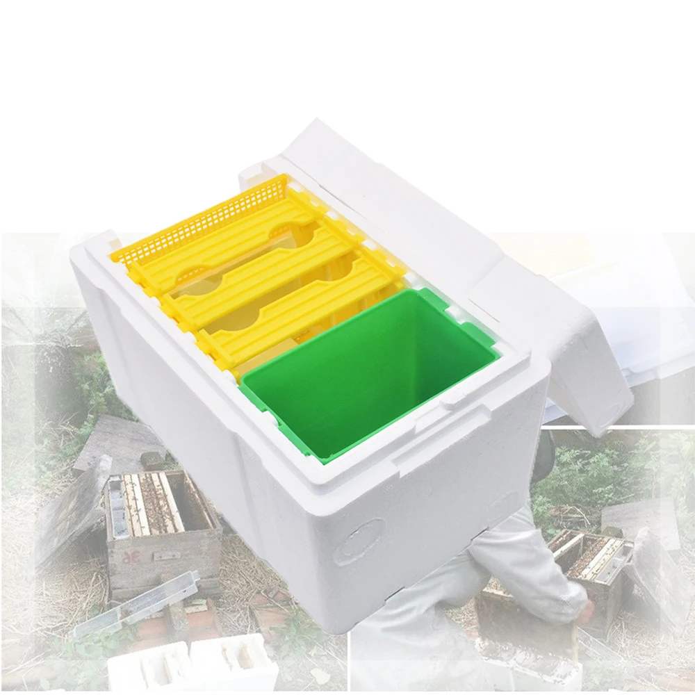 

1PCS Honey Bee Nucs Mini Mating Hive Plastic Frames Foam Box Nucleus Queen Rearing Portable Beekeeping Breeding Tools Supplies