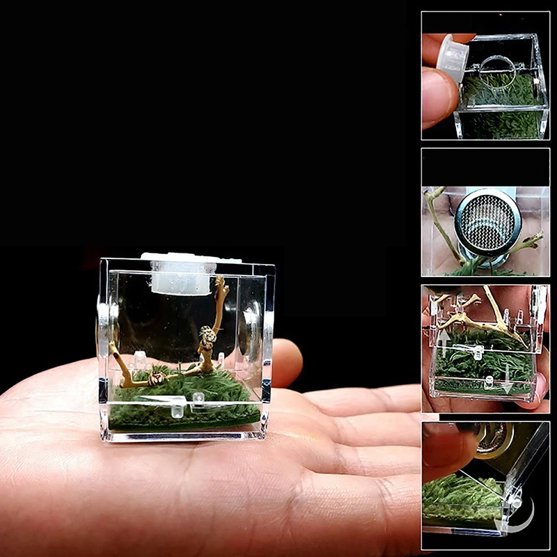 S/M Spider Reptile Terrarium Acrylic Reptile Breeding Box Terrarium Accessories Insect Box For Spider Cricket Snail Tarantula