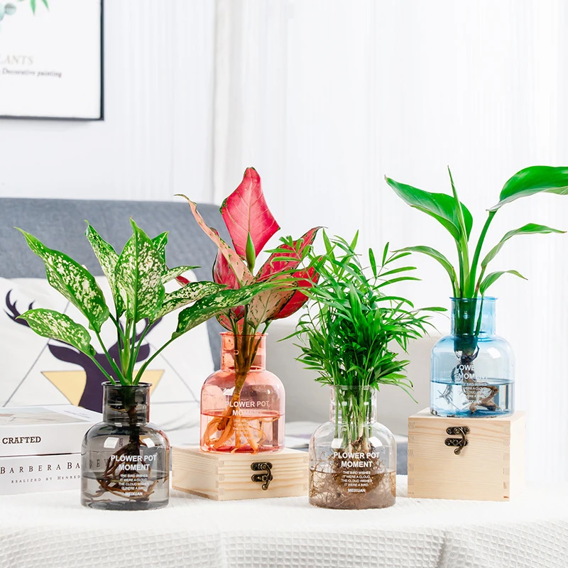 Hydroponic Plastic Flower Pot Vase Desktop Hydroponic Plant Cuttings Office Home Decoration