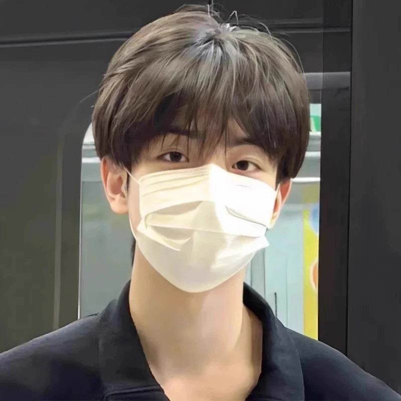 

Handsome Korean Boys' Black Short Straight Wig Synthetic Wig Slightly Broken Cover Fluffy For Halloween Daily Party