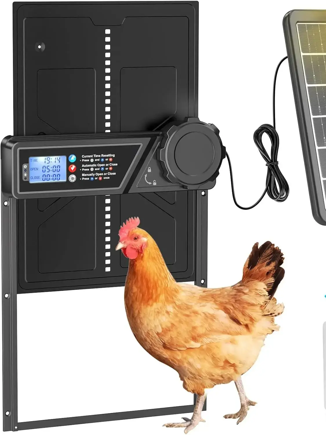 Porte automatique de poulailler à énergie solaire, mise à niveau avec capteur de détection automatique, porte de poulailler de grande taille facile à installer