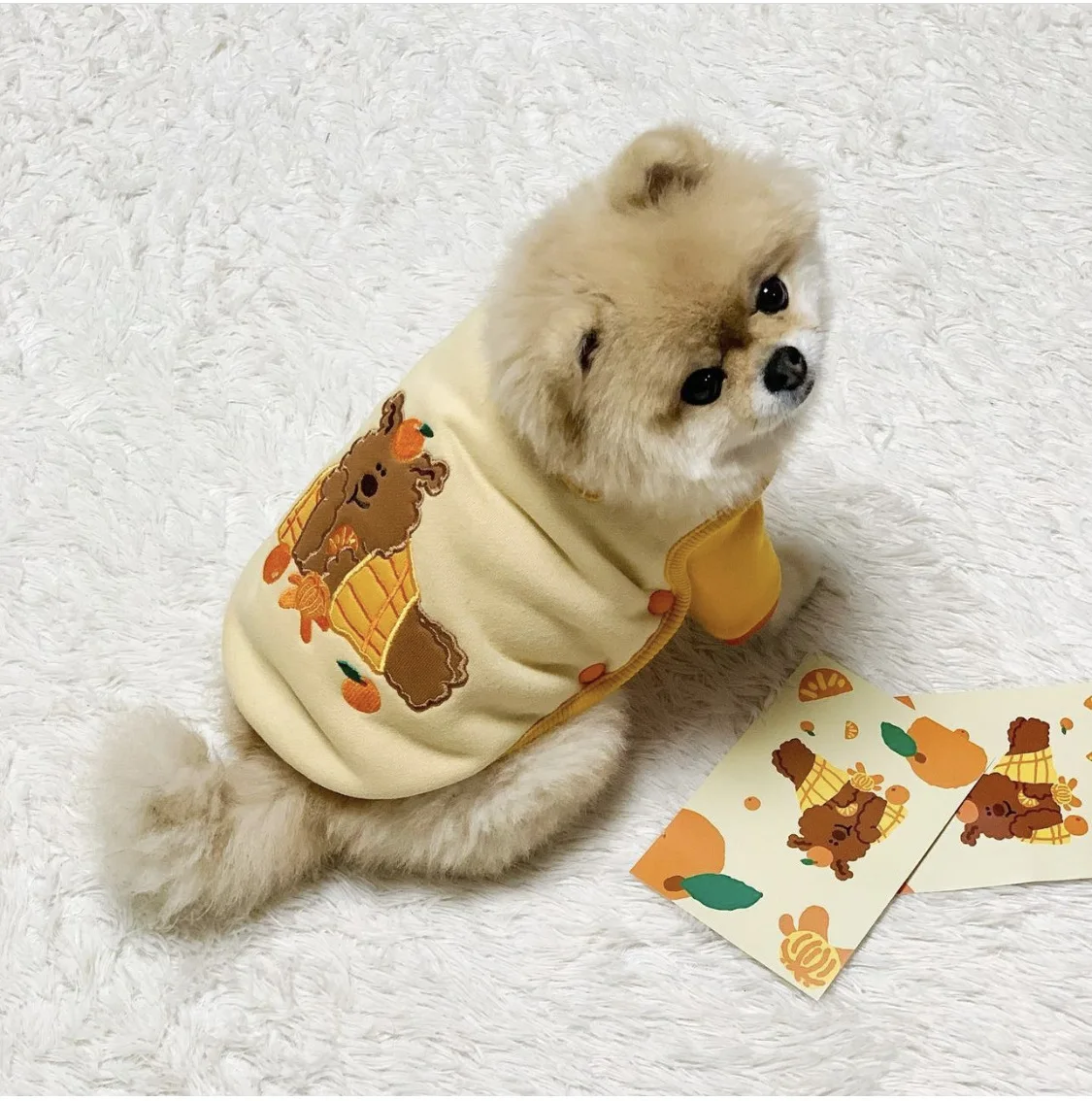 Pet Plush Vest Winter Warm Jacket One Piece Soft and Sticky Jacket Cute Embroidered Clothes Puppy Clothes Dogs Vest Dog Costume