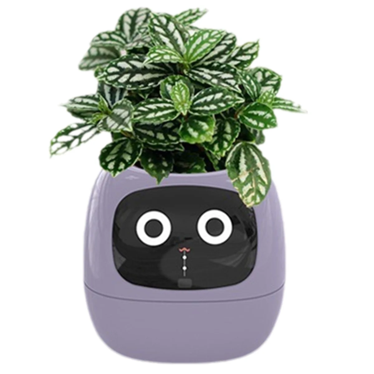 Ivy Smart Planter,USB Rechargeable Indoor Small Flower Pot for Indoor Decoration Make Raising Plant Easy and Fun Purple