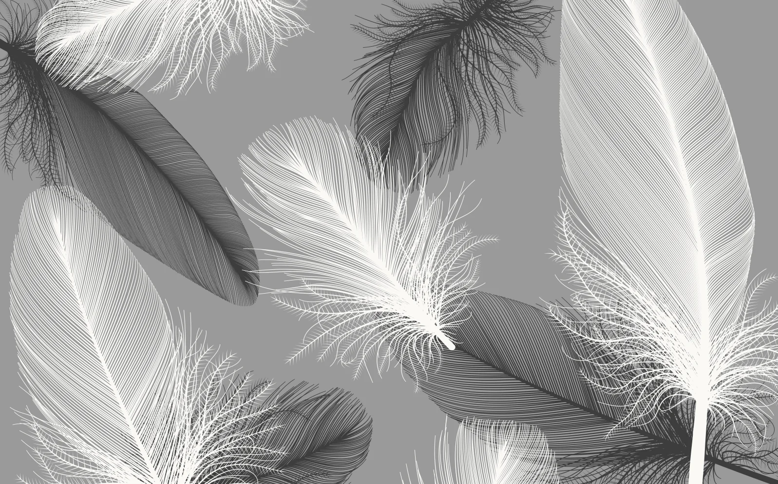 Hand drawn feather 3D wallpaper murals can be customized in size with black and white feather decorative art wall paintings