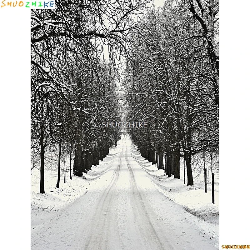 الشتاء الغابات الثلوج الطريق خلفيات للتصوير الفوتوغرافي عدم وضوح المشهد الثلج الطريق شجرة التنوب خلفية الصورة XD-12