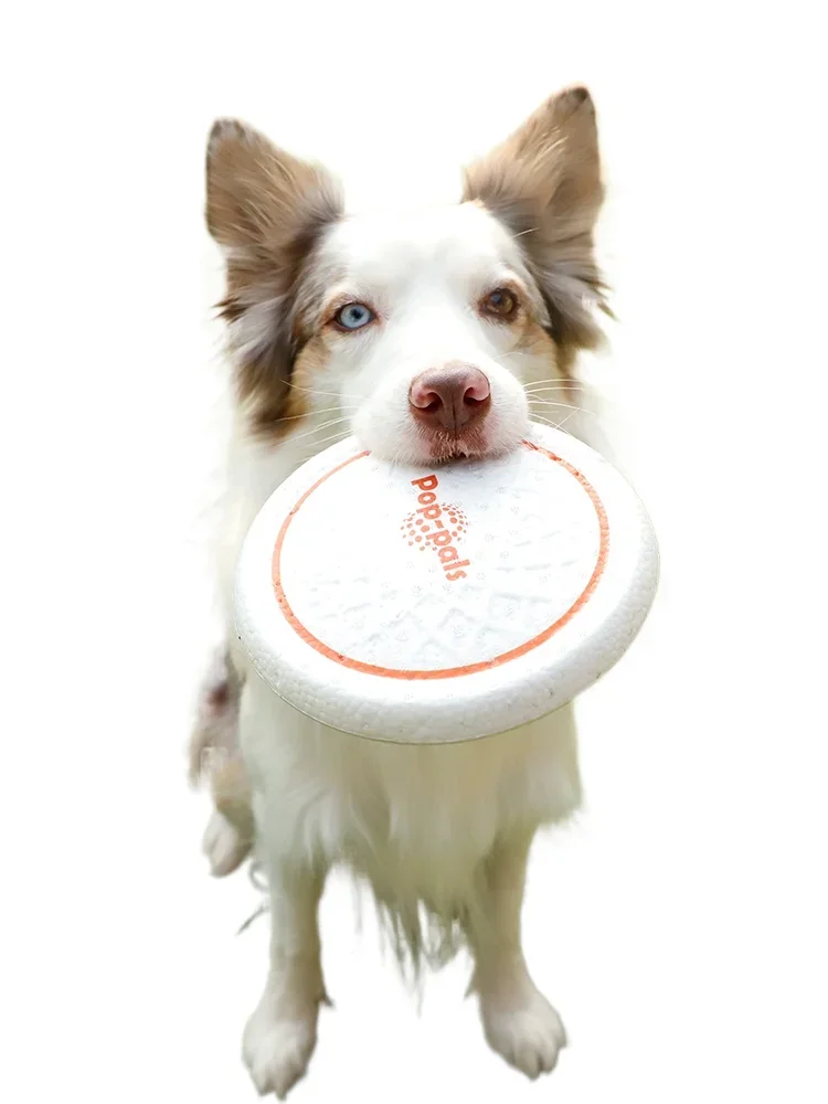 

I am a dog toy designed for small dogs, with a bite resistant frisbee for outdoor training. It is a high-end pet s