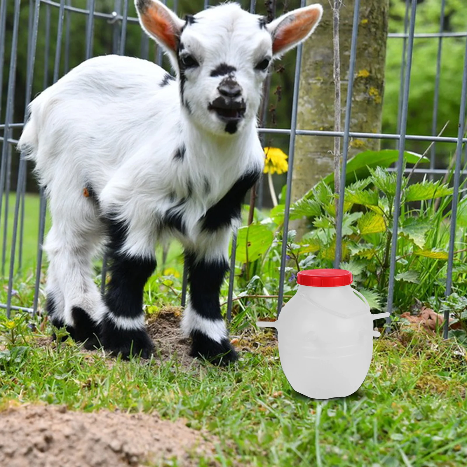 

Lamb Milk Bucket Large Capacity Professional Feeder Barrel Silicone Pacifier Calf Nursing Bottle Lamb Feeding Tools Animal Milk