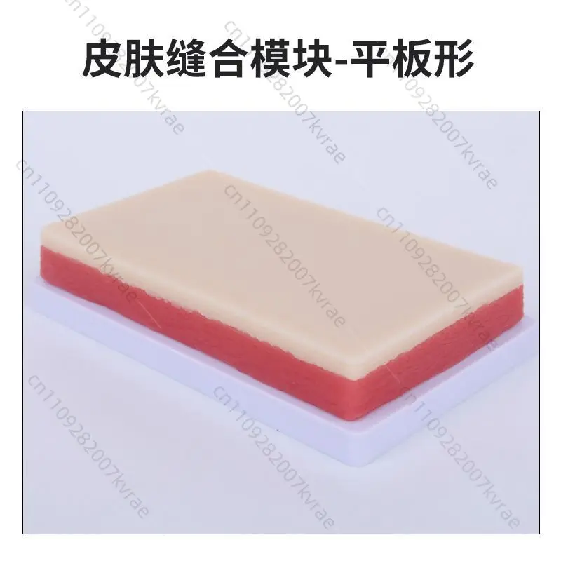 Multi-functional Silicone Tissue Teaching Model, Training Demonstration Prop