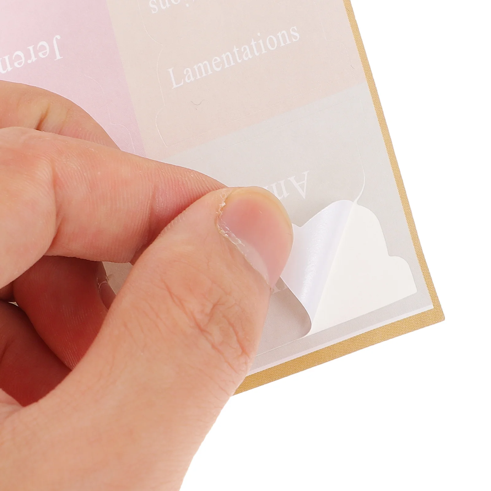 

5 Sheets Bible Accessories Tags Decorative Tab Tabs for Study Adhesivs Page Markers Book Writable