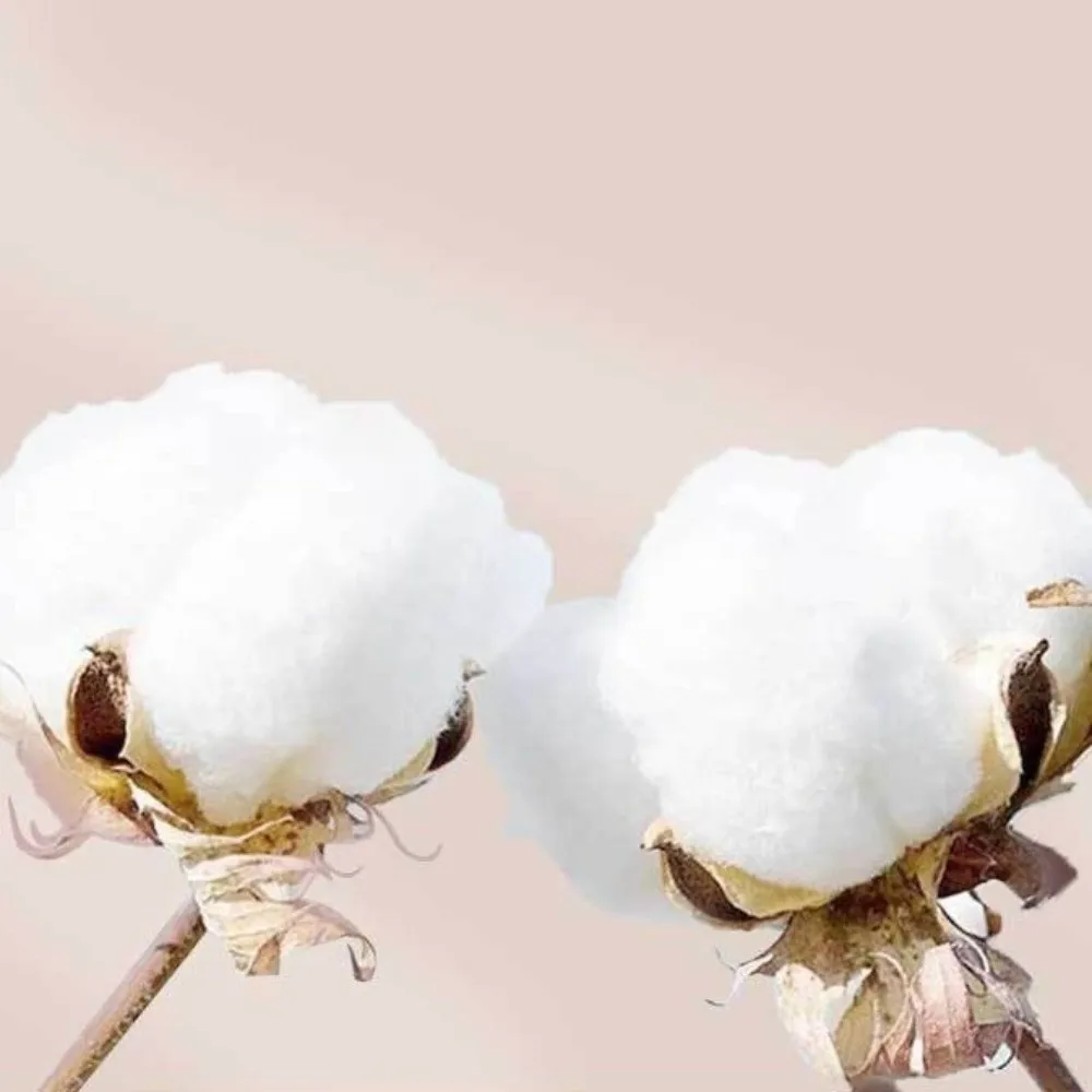 

2 Pieces Suit Comfortable Cotton Sleeveless Romper Soft Tank Top Shorts Toddler Outfit Girls