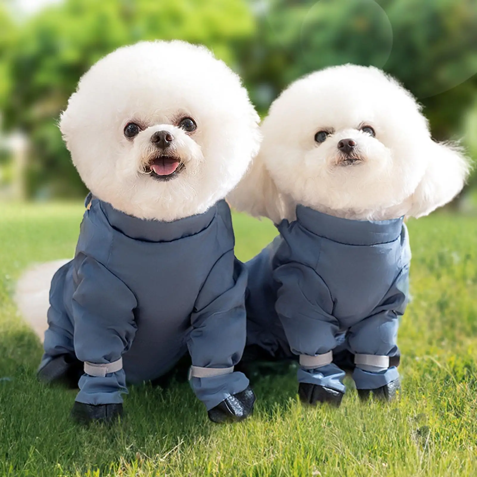 Thumbnail 3 - #87 Best Dog Boots to Buy In 2026