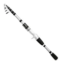 Casting Rod